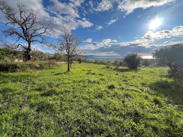 Terreno in vendita a Capaccio, Campania