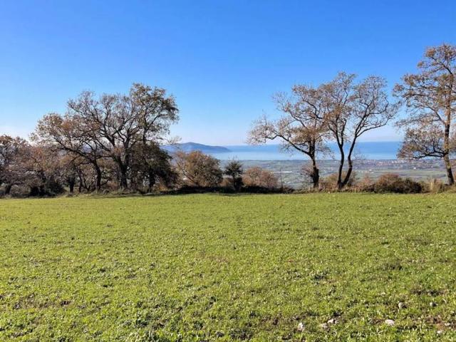 Terreno in vendita a Capaccio, Campania