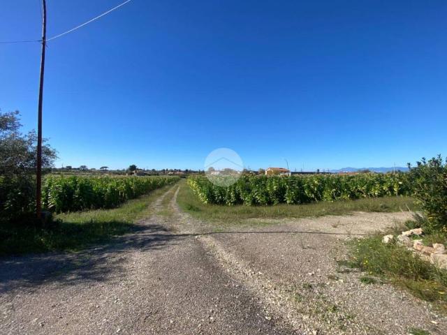 Terreno in vendita a Capaccio, Campania