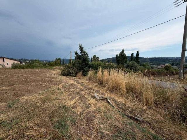 Terreno in vendita a Capaccio, Campania