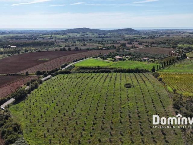 Terreno in vendita a Capalbio, Toscana
