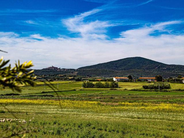 Terreno in vendita a centro M, Capalbio
