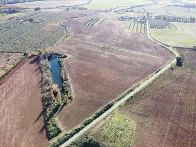 Terreno in vendita a Capalbio, Grosseto