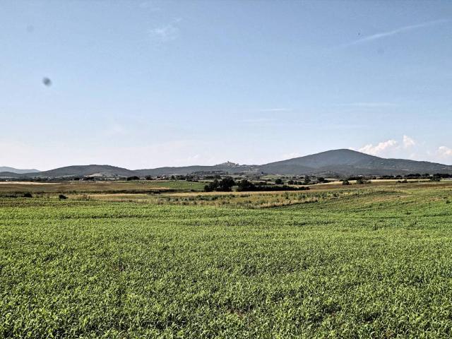 Terreno in vendita a centro H, Capalbio