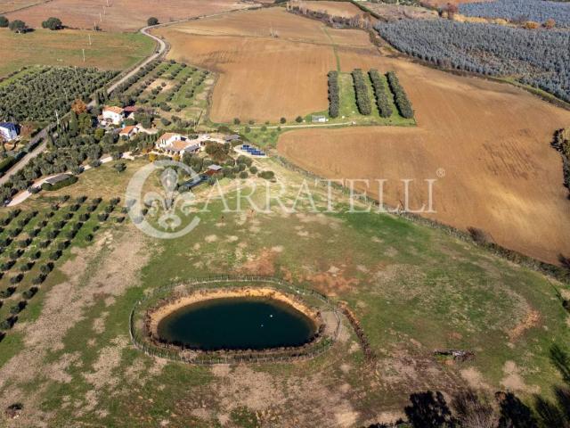 Terreno in vendita a Capalbio, Toscana