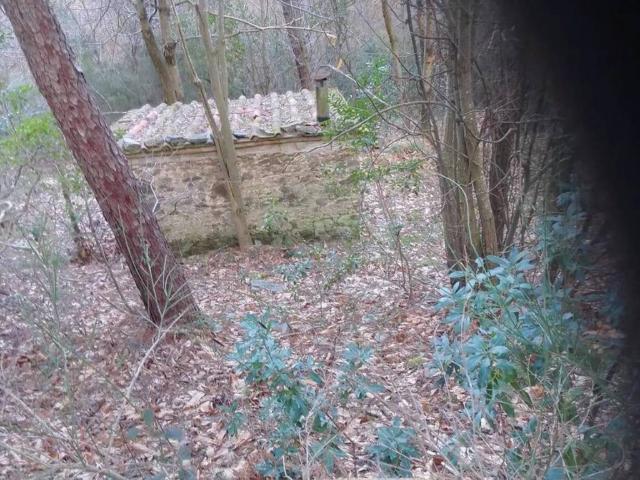 Terreno in vendita a Capannori, Lucca