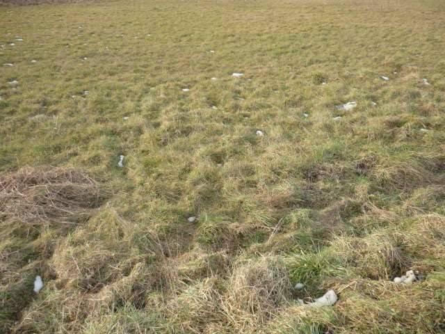 Terreno in vendita a Parezzana, Capannori