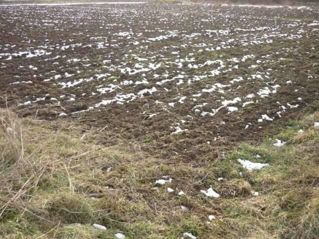 Terreno in vendita a Parezzana, Capannori
