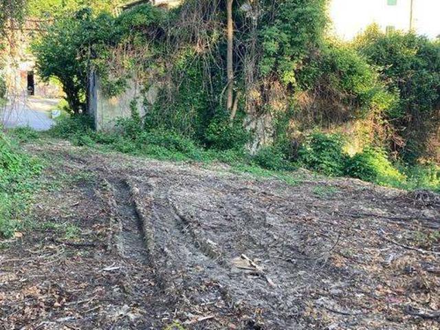 Terreno in vendita a Capannori, Toscana