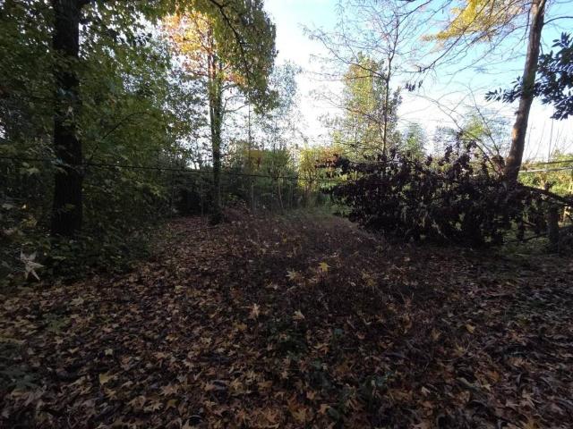 Terreno in vendita a Capannori, Lucca