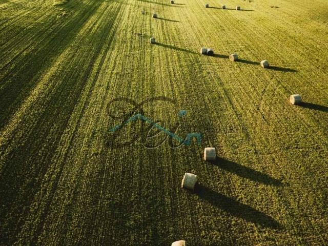 Terreno in vendita a Capannori, Toscana