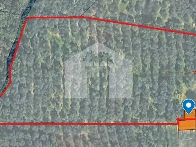 Terreno in vendita a Capannori, Toscana