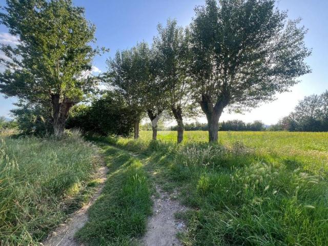 Terreno in vendita a Capannori, Toscana