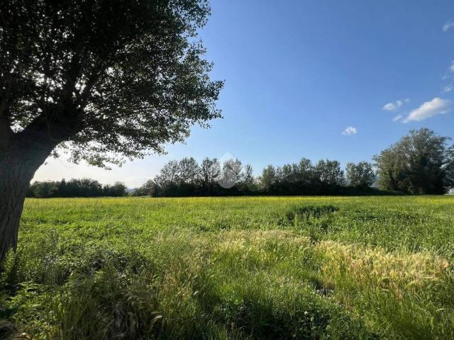 Terreno in vendita a Capannori, Toscana
