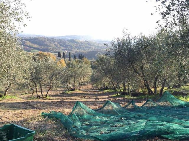 Terreno in vendita a Tofori, Capannori