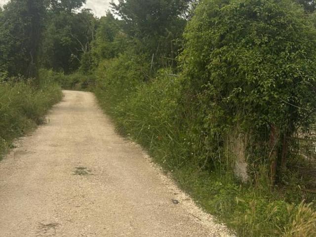 Terreno in vendita a Roma Capitale, Lazio