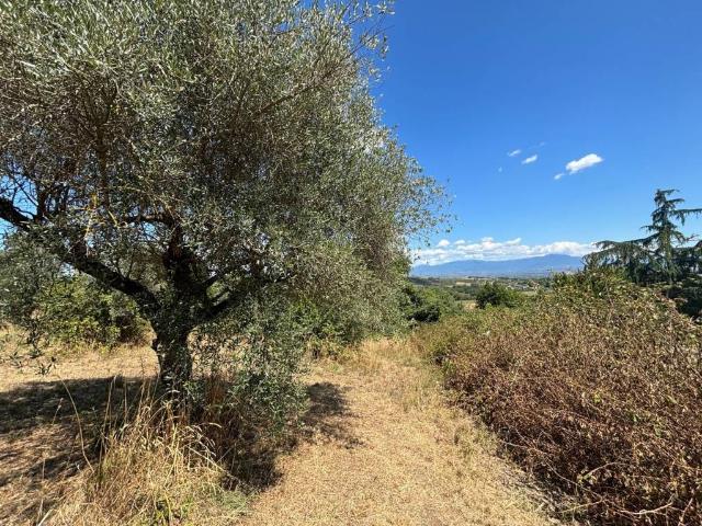 Terreno in vendita a Capena, Roma Capitale