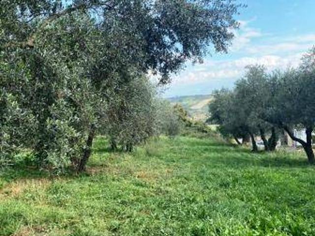 Terreno in vendita a Roma Capitale, Lazio