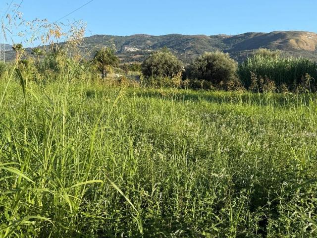 Terreno in vendita a Piscittina, Capo d'Orlando