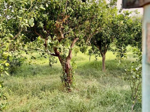 Terreno in vendita a Malvicino, Capo D'orlando