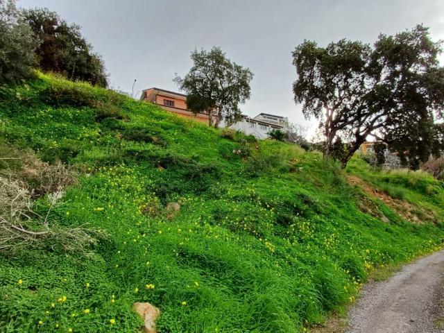 Terreno in vendita a Capo D'orlando, Sicilia