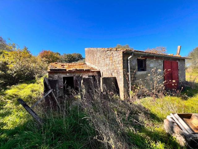 Terreno in vendita a Capodimonte, Lazio