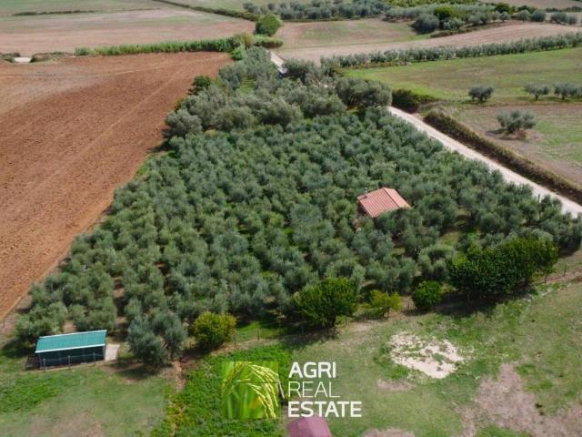 Terreno in vendita a Capodimonte, Viterbo