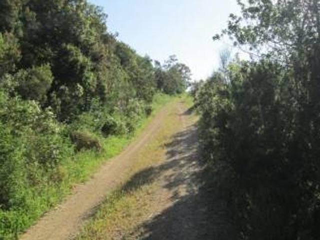 Terreno in vendita a Morcone, Capoliveri