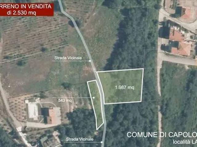 Terreno in vendita a Lama, Capolona