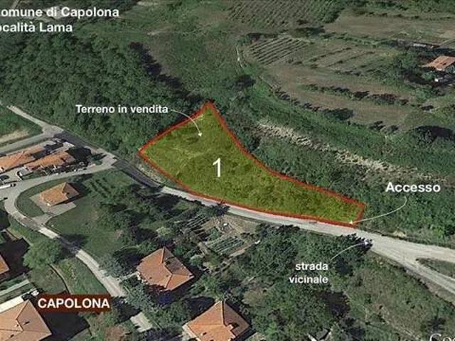 Terreno in vendita a Lama, Capolona