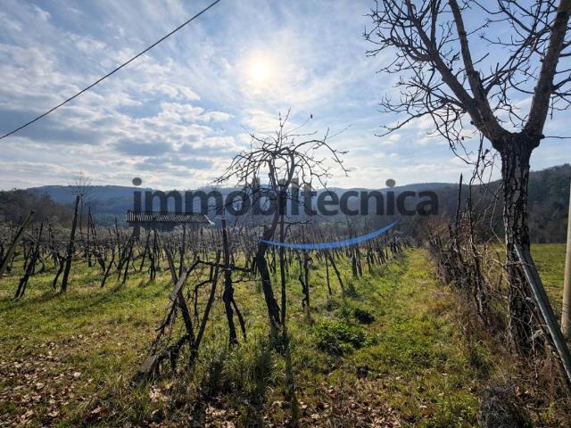 Terreno in vendita a San Martino Soprarno, Capolona