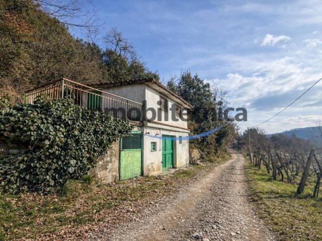 Terreno in vendita a San Martino Soprarno, Capolona
