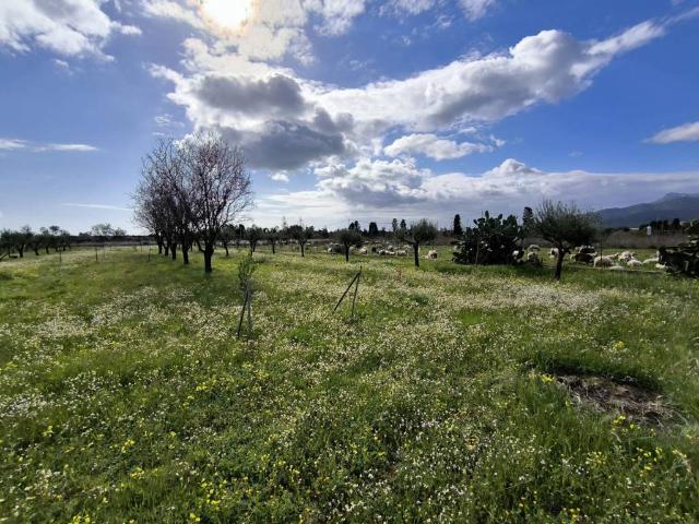 Terreno in vendita a Frutti d'Oro, Capoterra