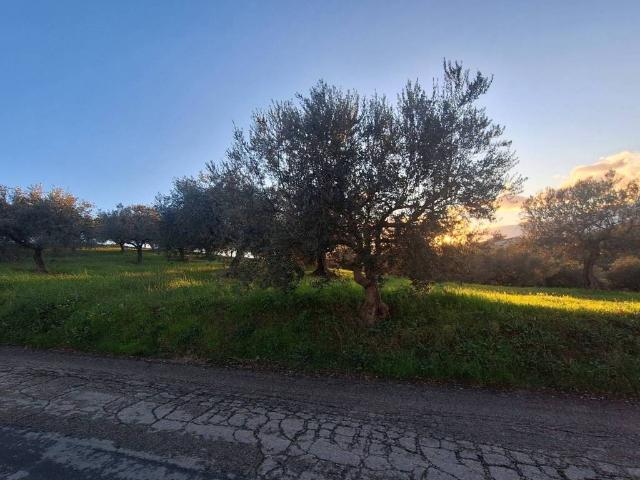 Terreno in vendita a Cappelle Sul Tavo, Abruzzo