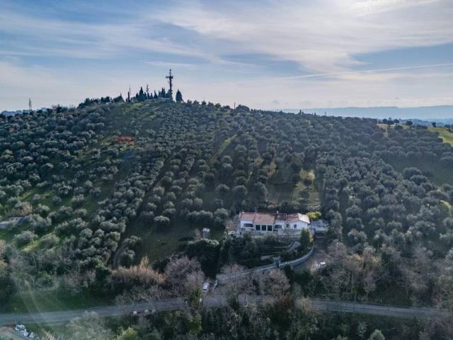 Terreno in vendita a Cappelle Sul Tavo, Abruzzo
