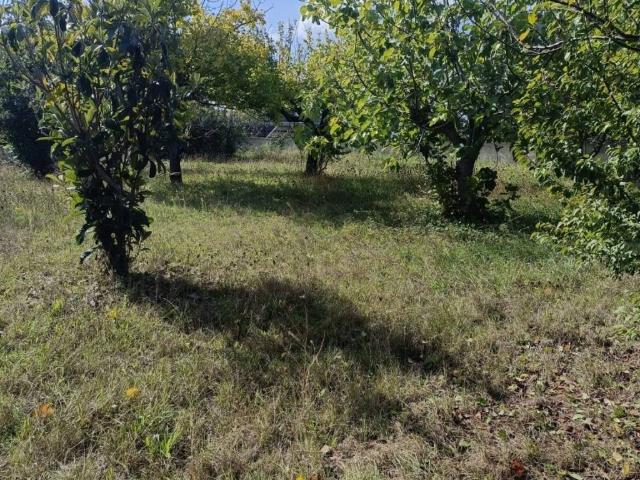 Terreno in vendita a Cappelle Sul Tavo, Abruzzo
