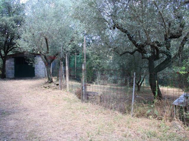 Terreno in vendita a Unione dei Comuni Circondario dell'Empolese Valdelsa, Capraia
