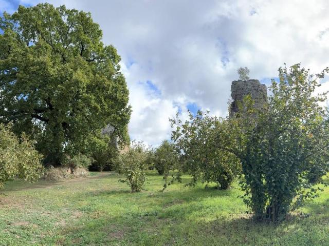 Terreno in vendita a Capranica, Lazio