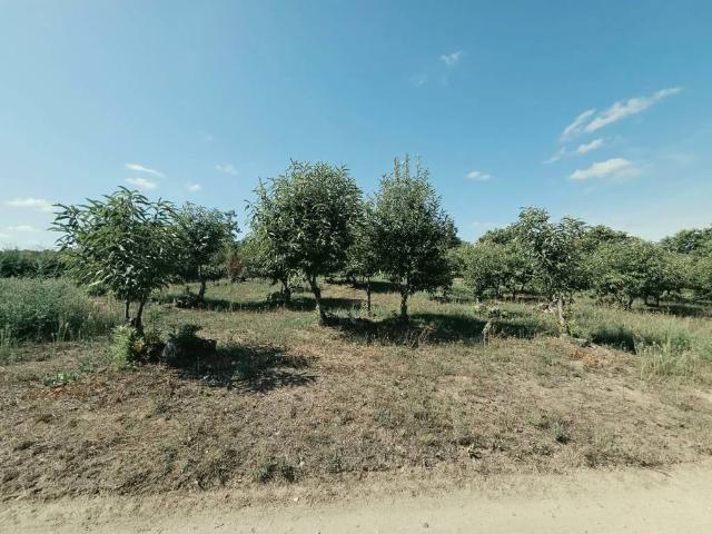 Terreno in vendita a Caprarola, Viterbo