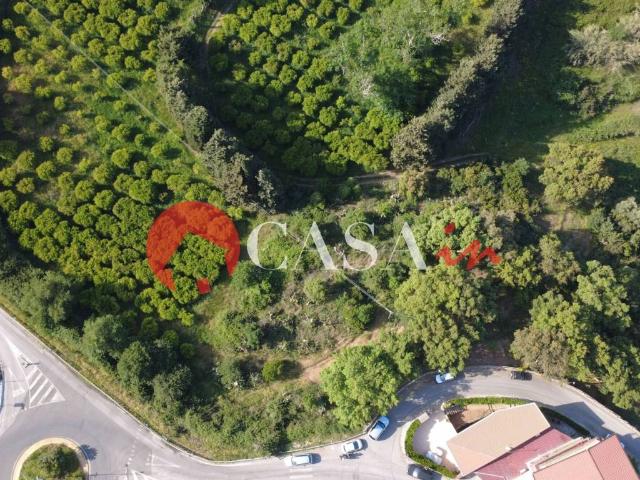 Terreno in vendita a Capri Leone, Sicilia