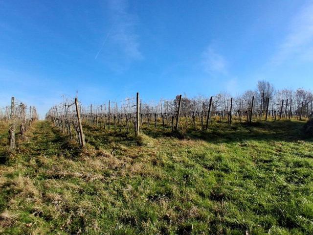 Terreno in vendita a Capriano Del Colle, Lombardia
