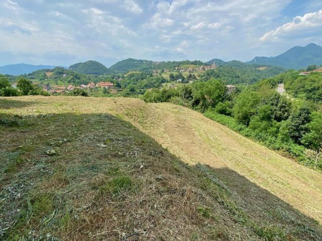 Terreno in vendita a Caprino Bergamasco, Lombardia