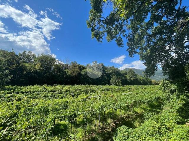 Terreno in vendita a Rivoli Veronese, Veneto