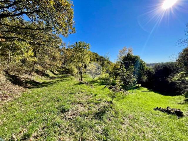 Terreno in vendita a Rubiana, Caprino Veronese