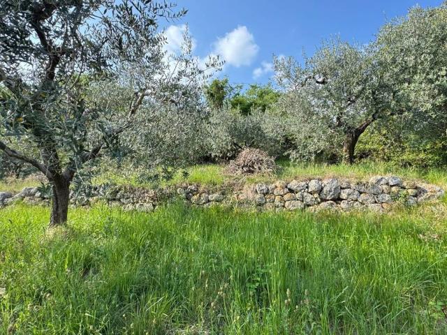 Terreno in vendita a Caprino Veronese, Veneto