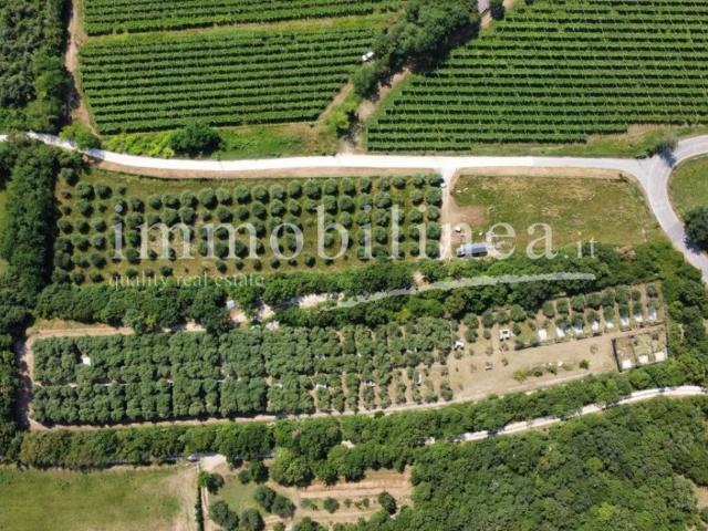 Terreno in vendita a Caprino Veronese, Veneto
