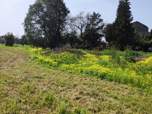 Terreno in vendita a Capua