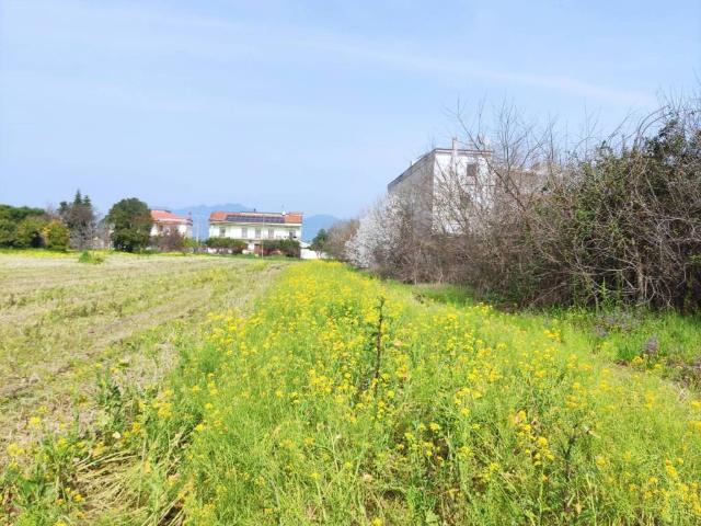 Terreno in vendita a Capua, Campania
