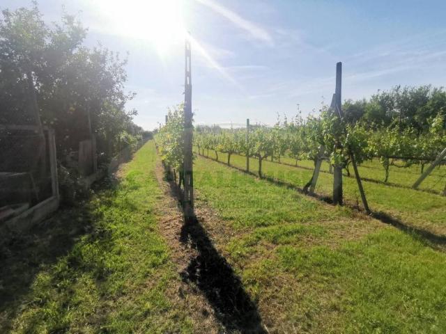 Terreno in vendita a Capua, Campania