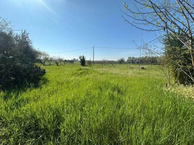Terreno in vendita a Capua, Campania